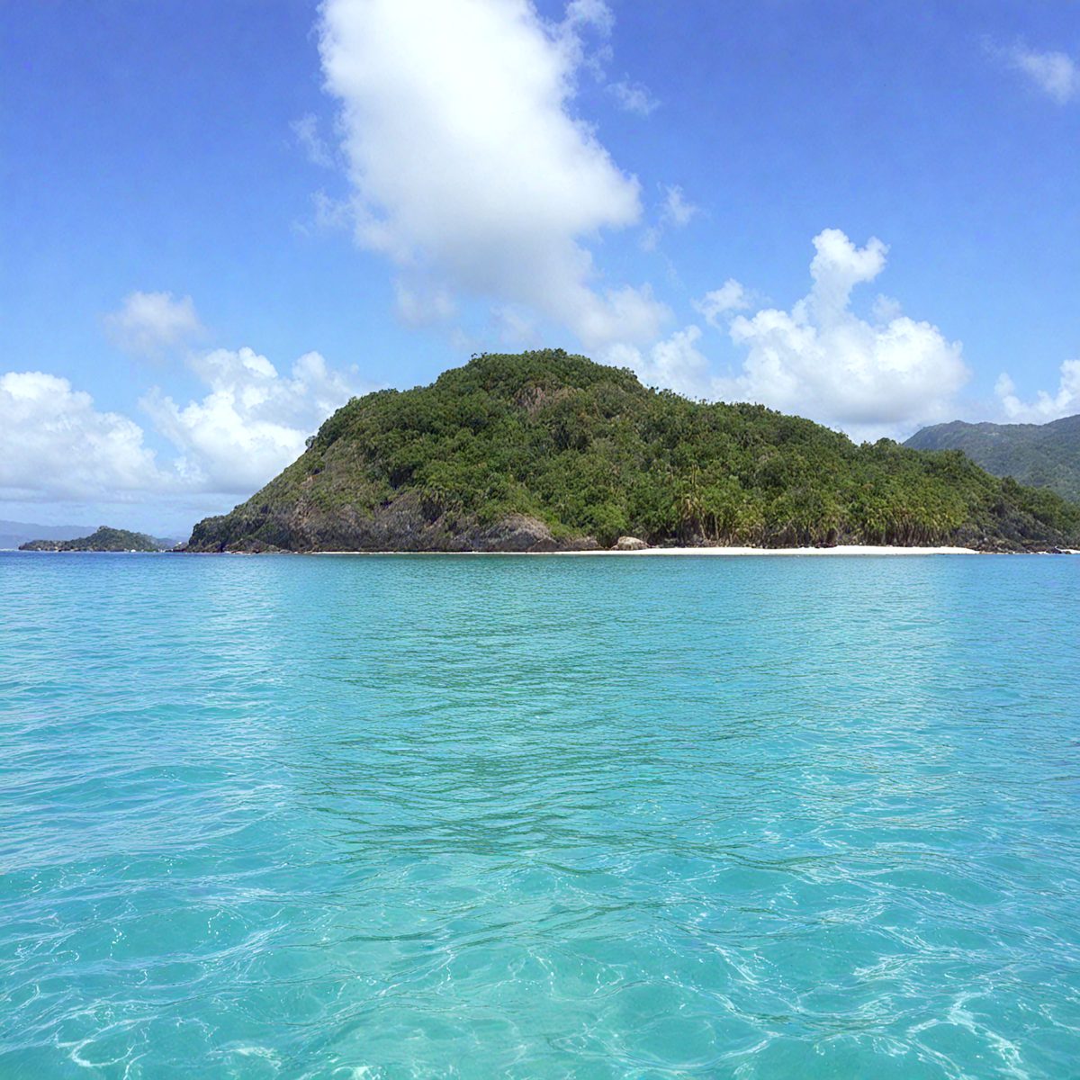 6ad18815-587c-4f16-92d8-5dae34e75308-island-comoros-rinsed-12a7d3_250318195828_Filename Text 2_02411_Filename Text 3_result.jpg